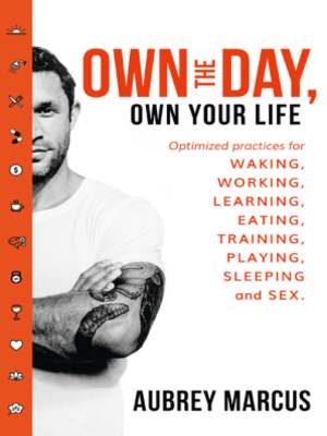 cover image of Own the Day, Own Your Life
